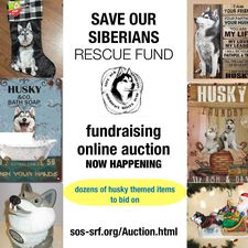 Fall Auction