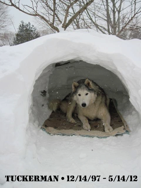 Tuckerman in his snow cave