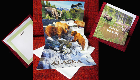 Alaska Wildlife Alaska Wildlife
