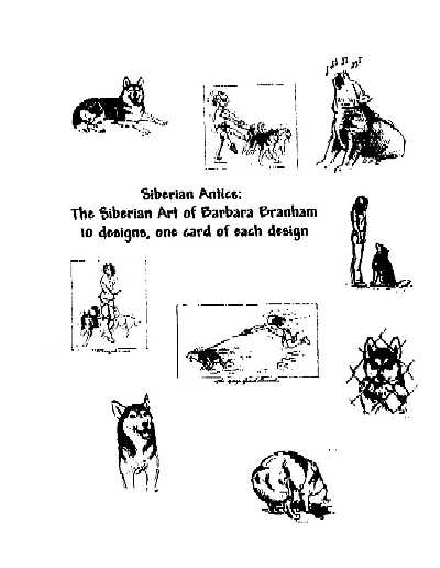 Siberian Husky Antics Note Cards