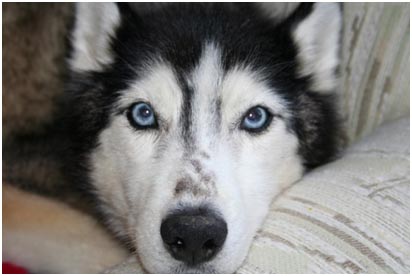 Nakita's eyes Nakita's eyes