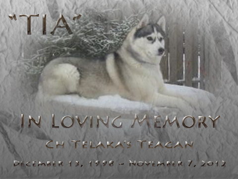 Tia Tia