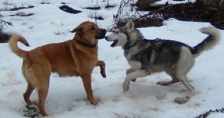 Sophia and Barney