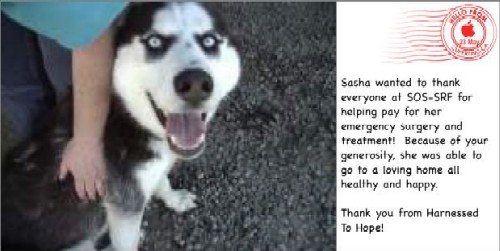 Sasha sends her thanks