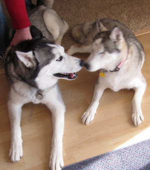 Apollo and Abby Apollo and Abby