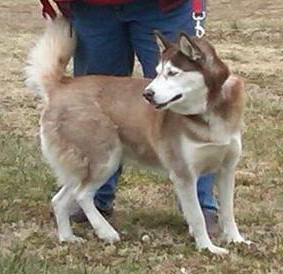 Sorcha - now Dakota Sorcha - now Dakota