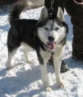 Dakota Dakota