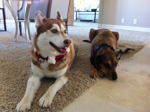 Julia and Gus Julia and Gus