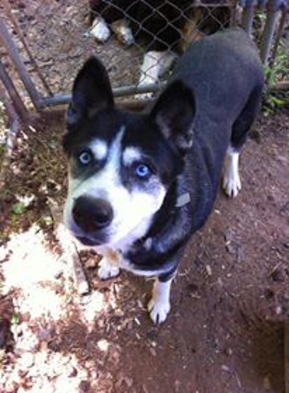 Cheyenne Cheyenne