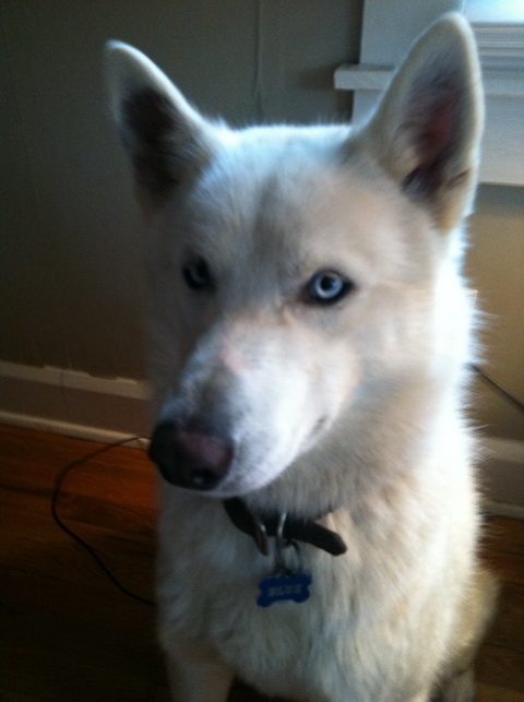 Winston Winston