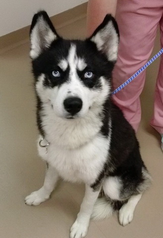 Zeus Zeus
