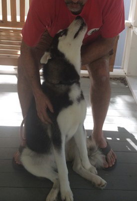 Jade giving kisses Jade giving kisses