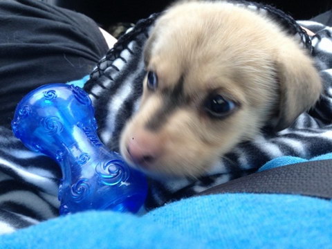 Maverick Maverick