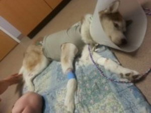 Max in recovery Max in recovery