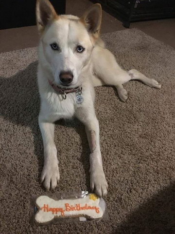 Keiko Keiko