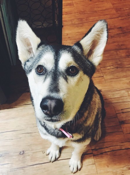 Nova Nova