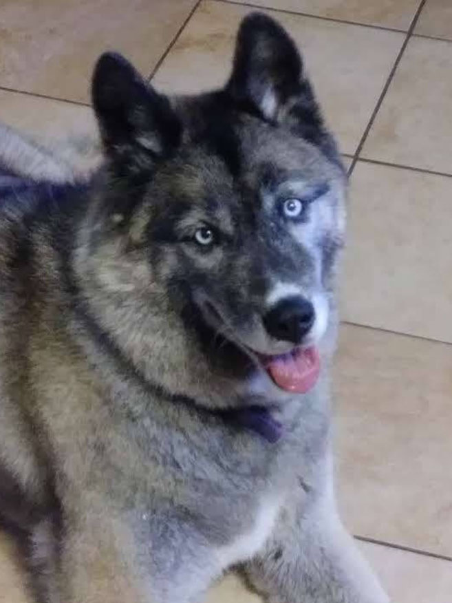 Cheyenne Cheyenne
