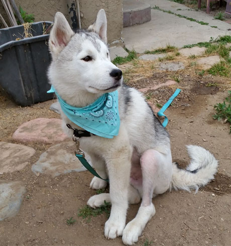 Mally (before amputation) Mally (before amputation)