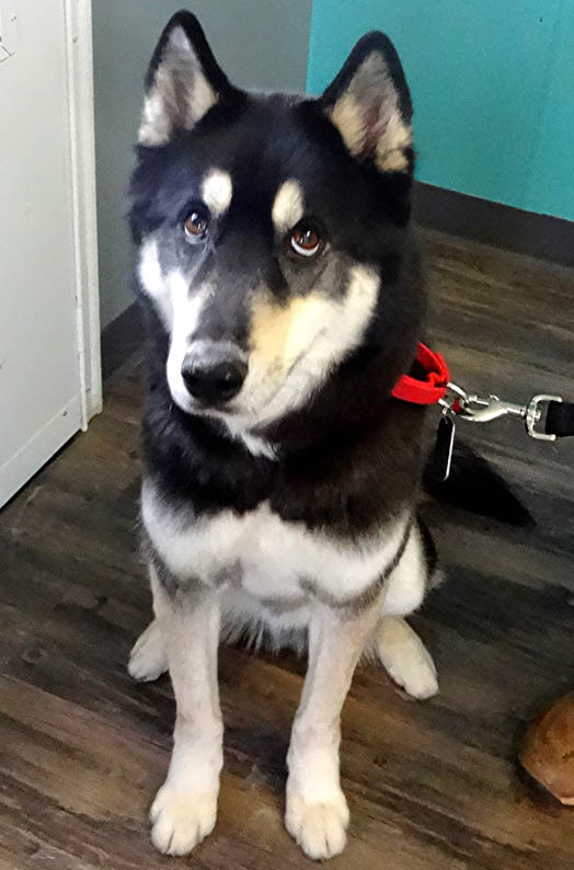 oh, those eyes! oh, those eyes!