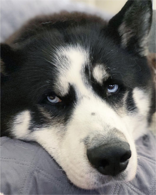 Dakota Dakota