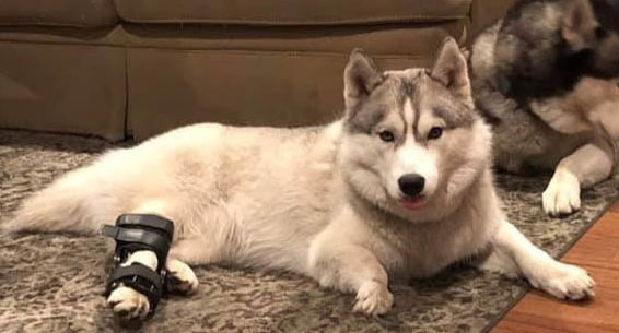 Kera with brace Kera with brace