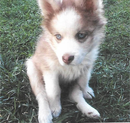 Chance - 3 weeks Chance - 3 weeks