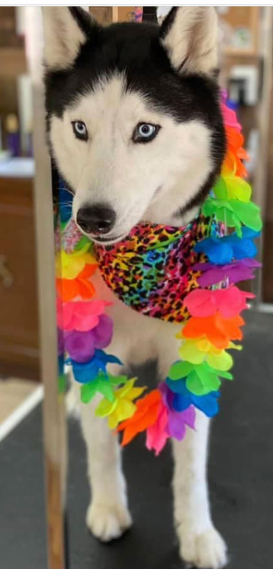 Kiko Kiko