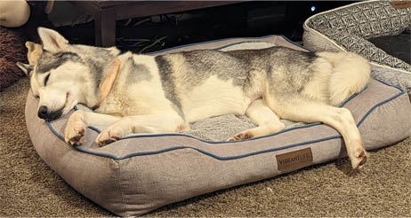 Kenai Kenai