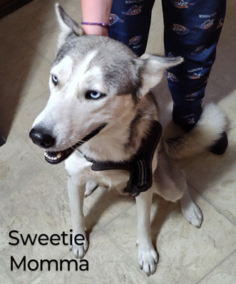 Sweetie Sweetie